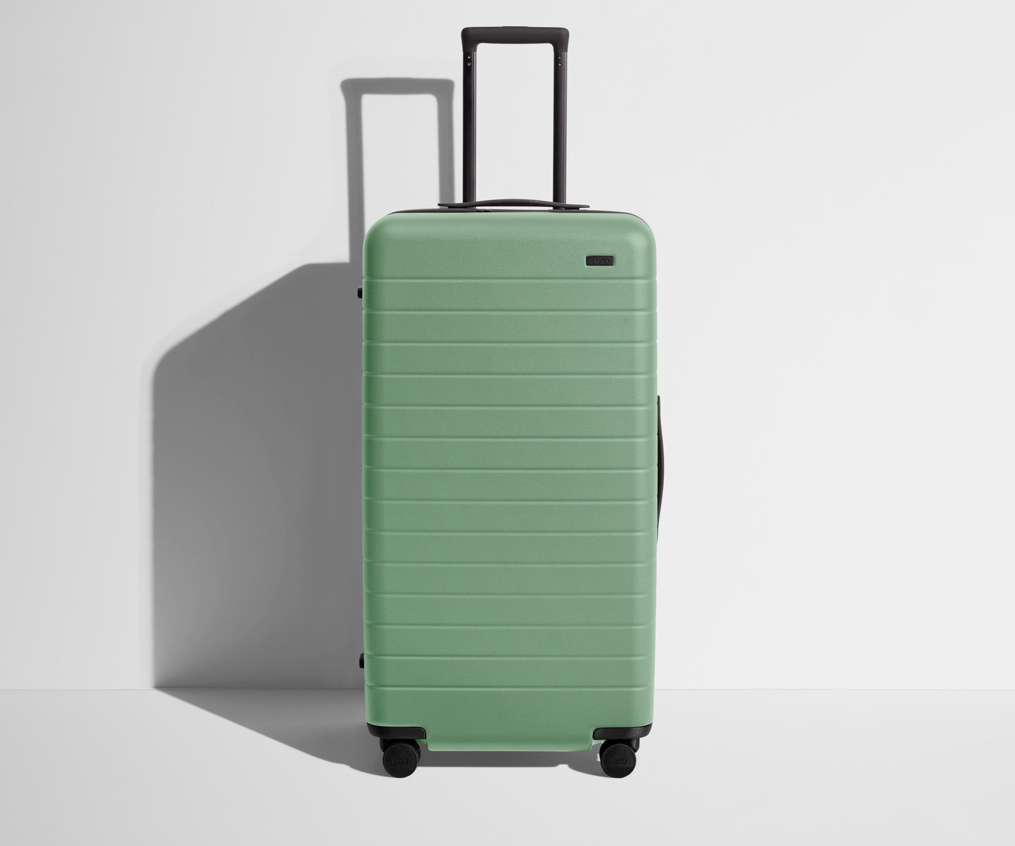 The Trunk in Sea Green