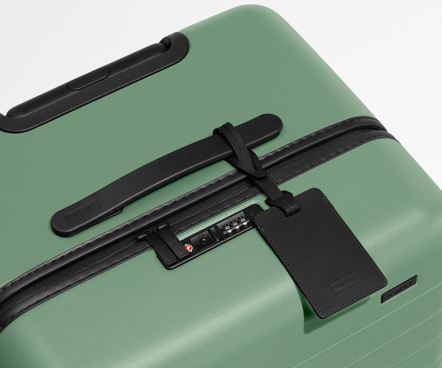 The Trunk in Sea Green